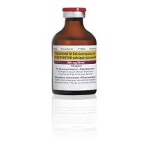 4062a001-leucovorin-calciuminjection-50ml-b-vial-front.jpg